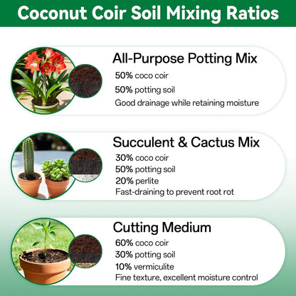 Stop Killing Your Plants With Bad Soil.